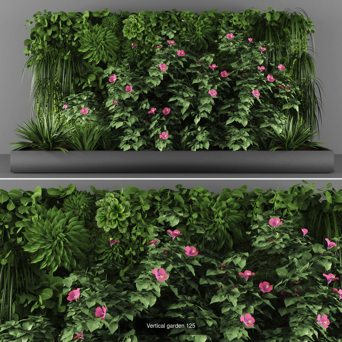 Collection of Vertical garden - 20  _11