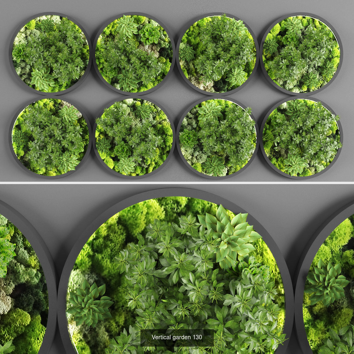 Collection of Vertical garden - 20  _16