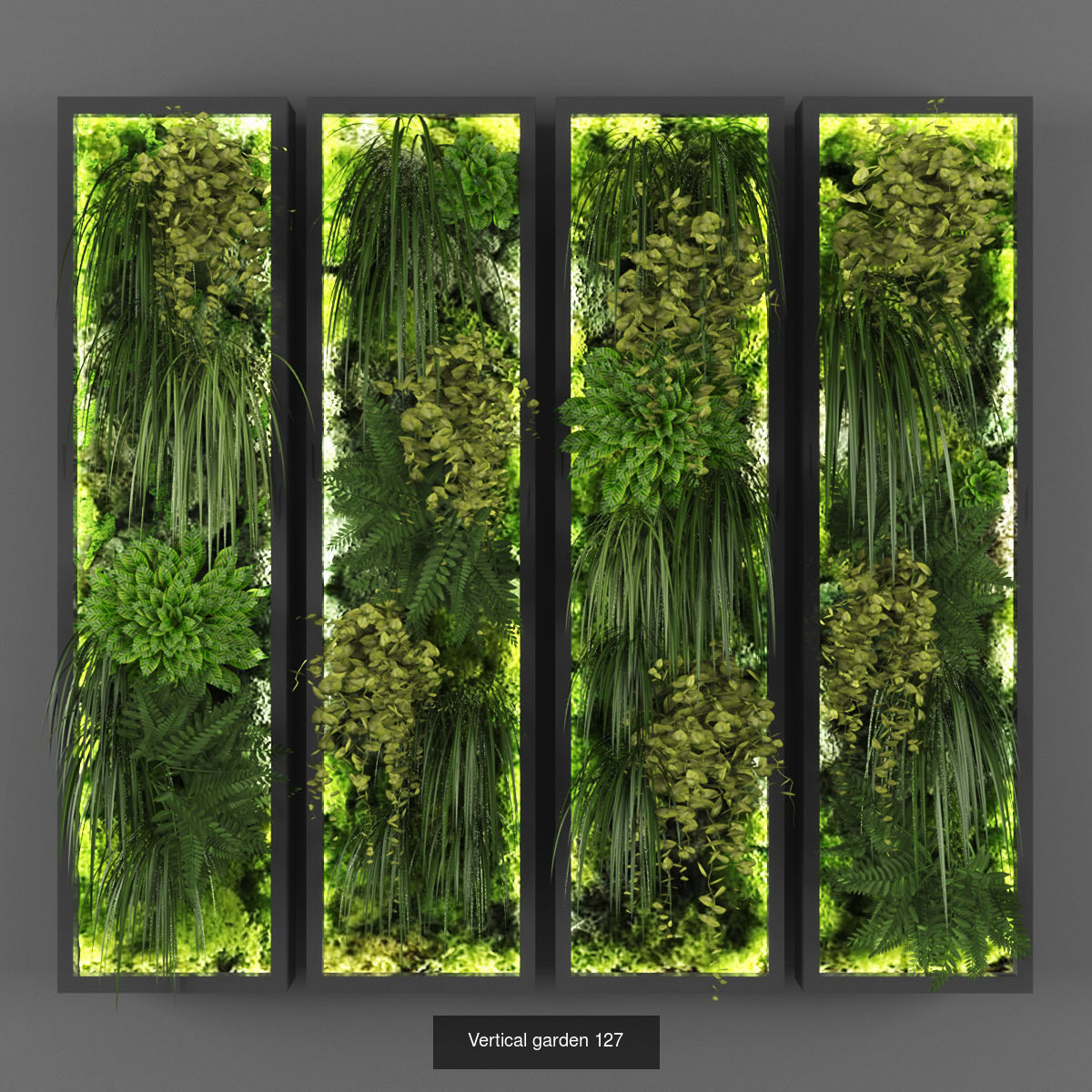 Collection of Vertical garden - 20  _13