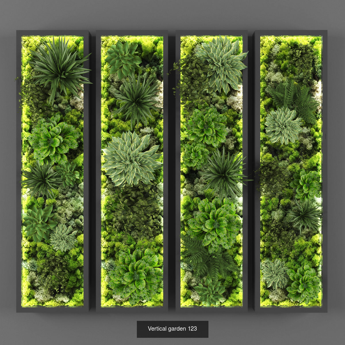Collection of Vertical garden - 20  _9