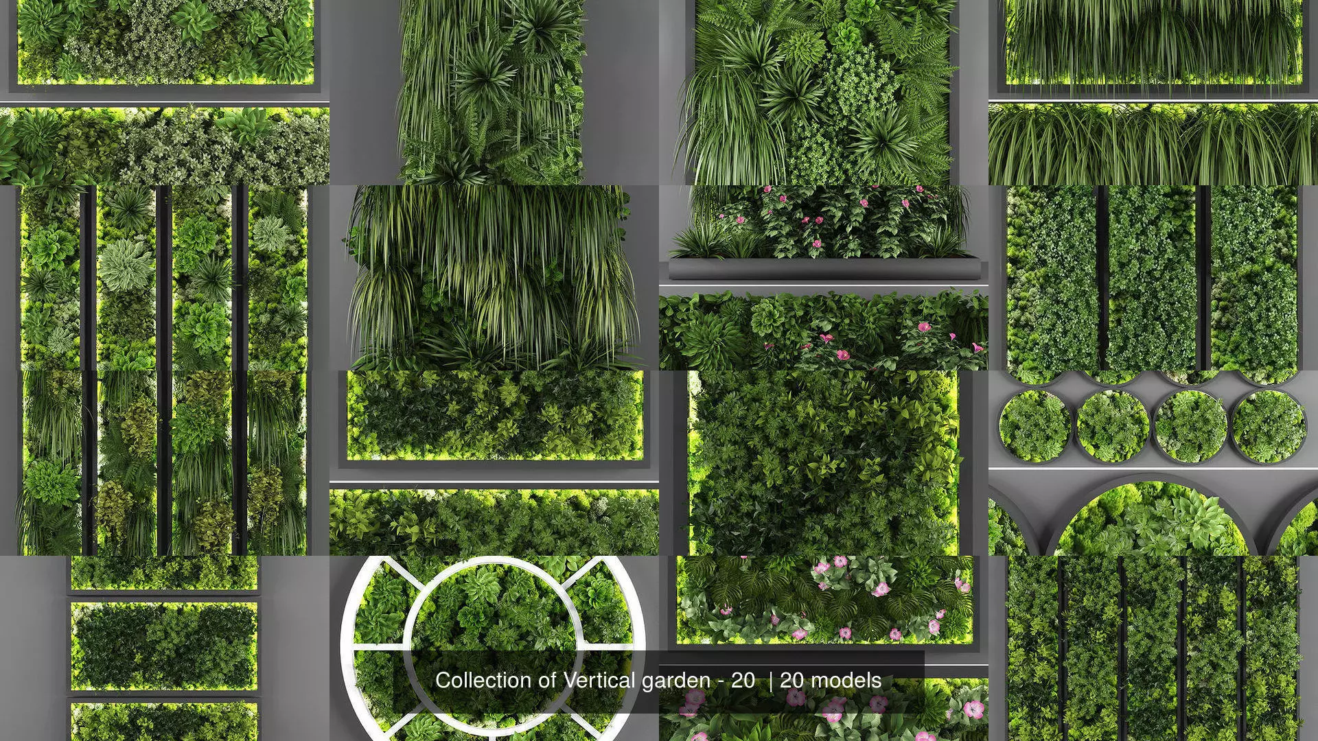 Collection of Vertical garden - 20  _0