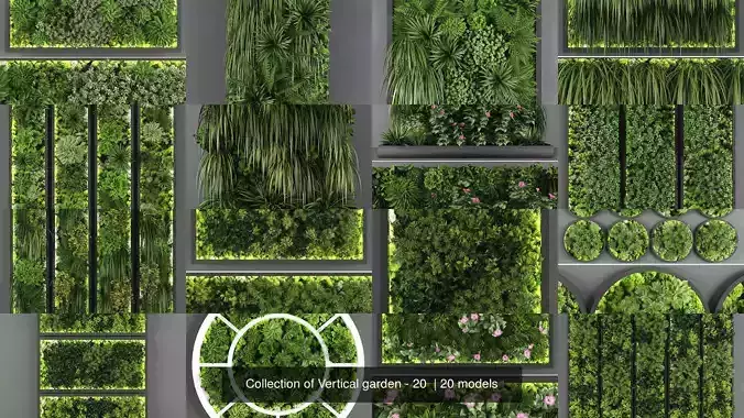 Collection of Vertical garden - 20  