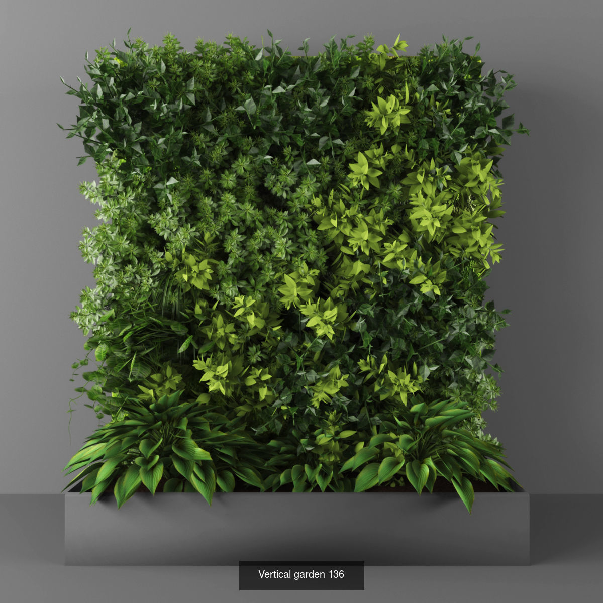 Collection of Vertical garden - 20  _22