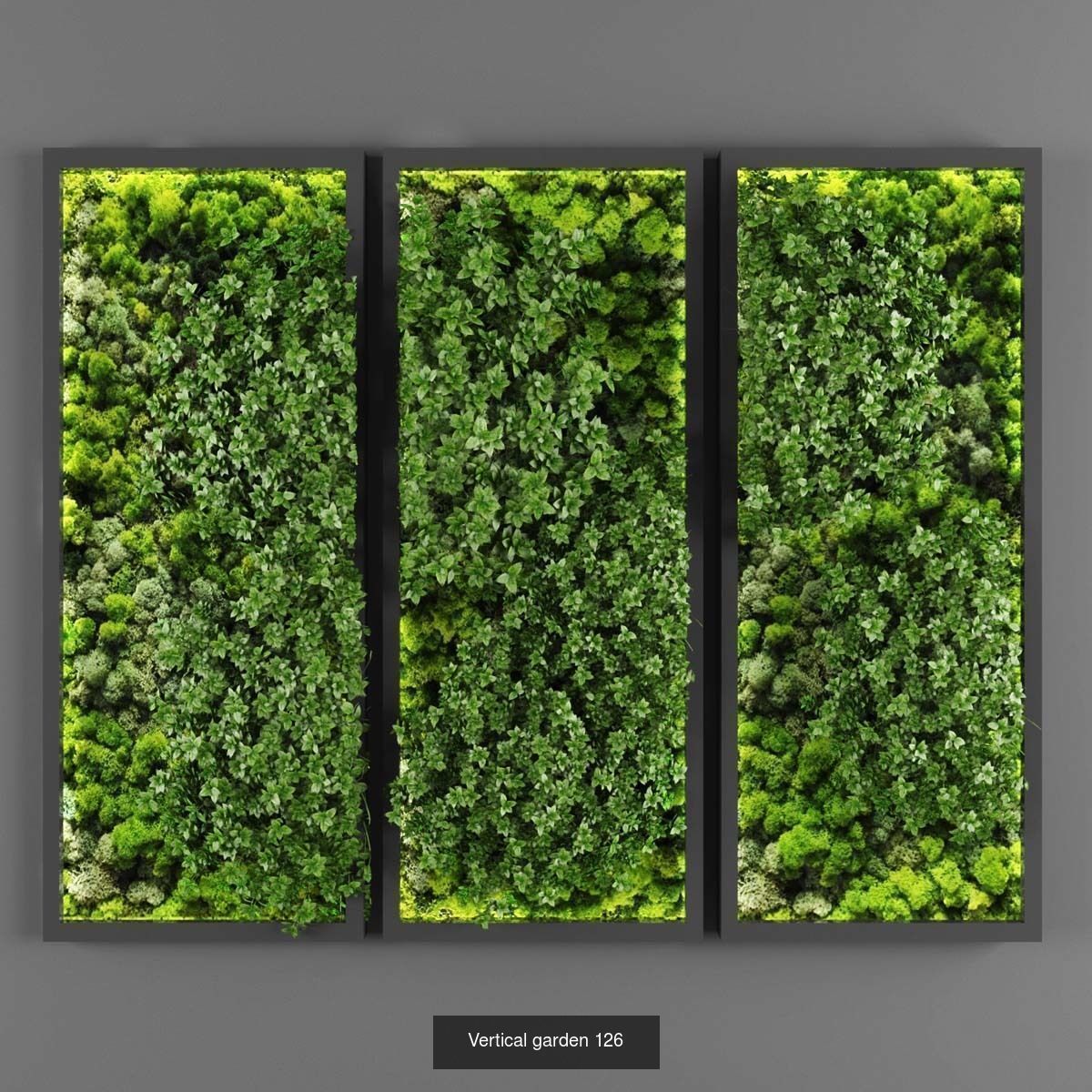 Collection of Vertical garden - 20  _12