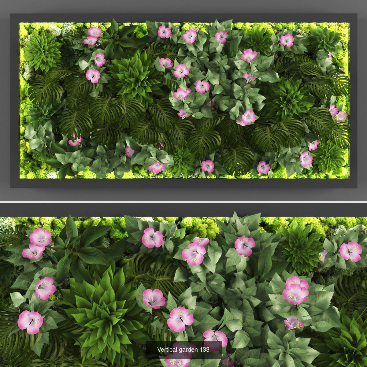 Collection of Vertical garden - 20  _19