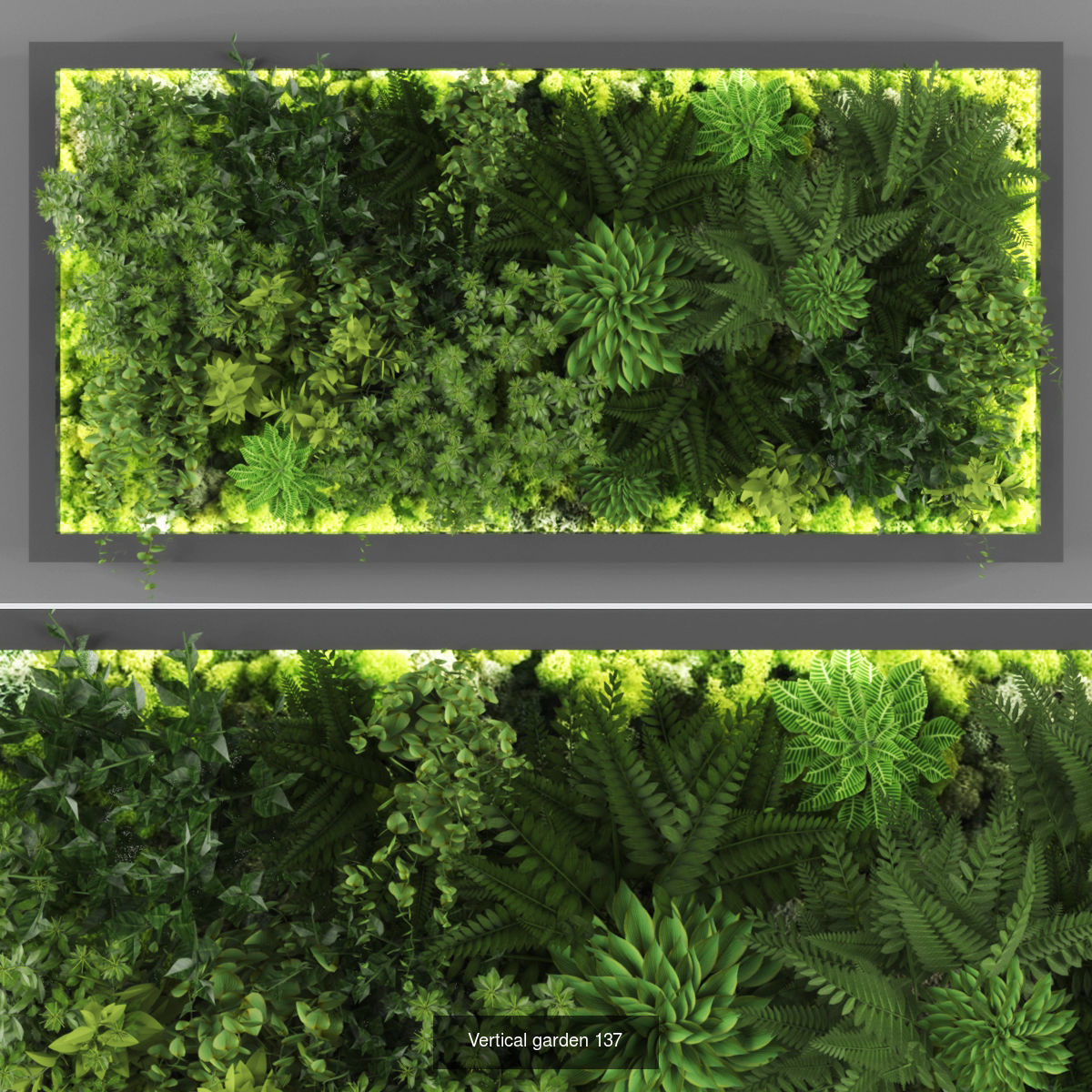 Collection of Vertical garden - 20  _23