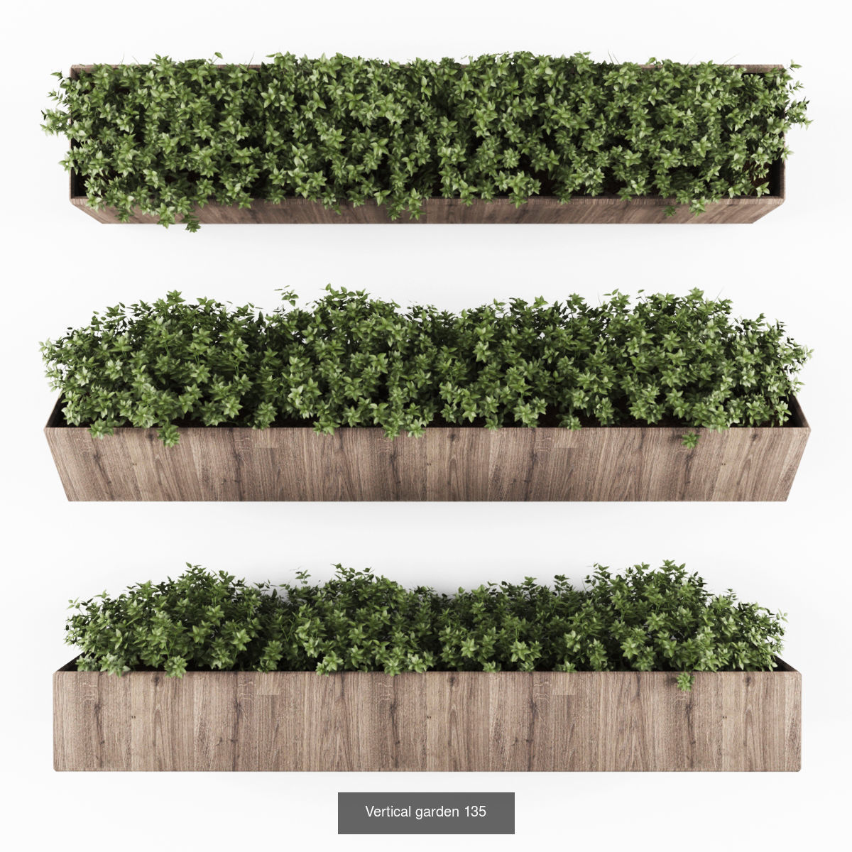 Collection of Vertical garden - 20  _21