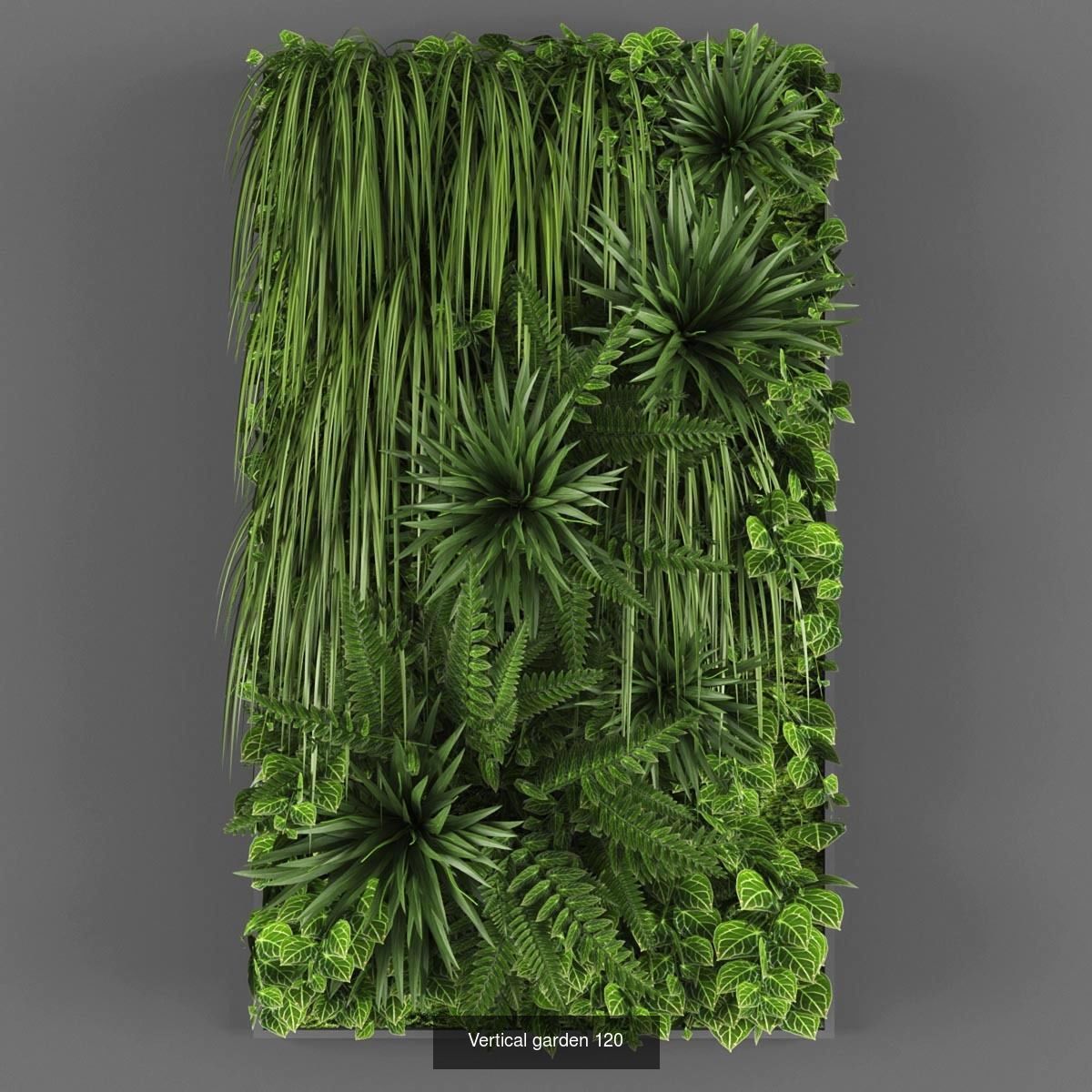 Collection of Vertical garden - 20  _6