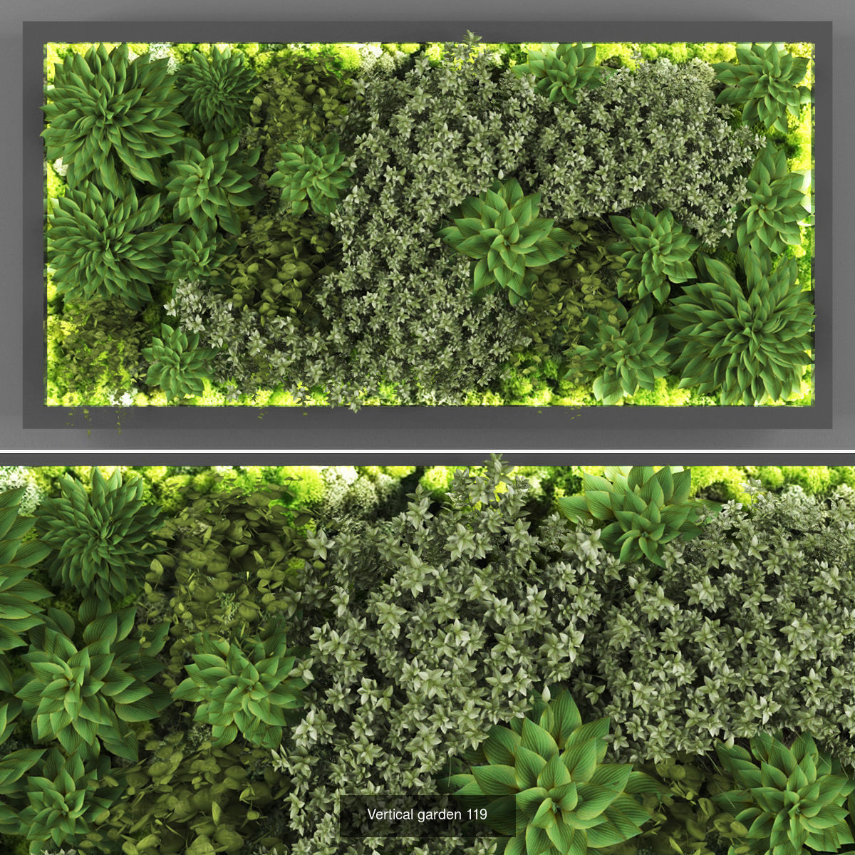 Collection of Vertical garden - 20  _5