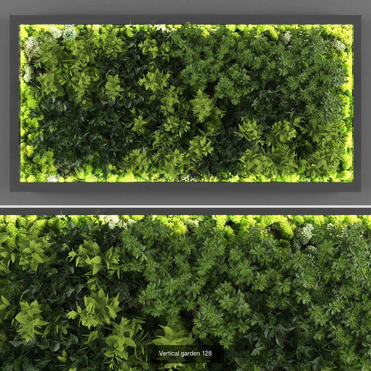 Collection of Vertical garden - 20  _14
