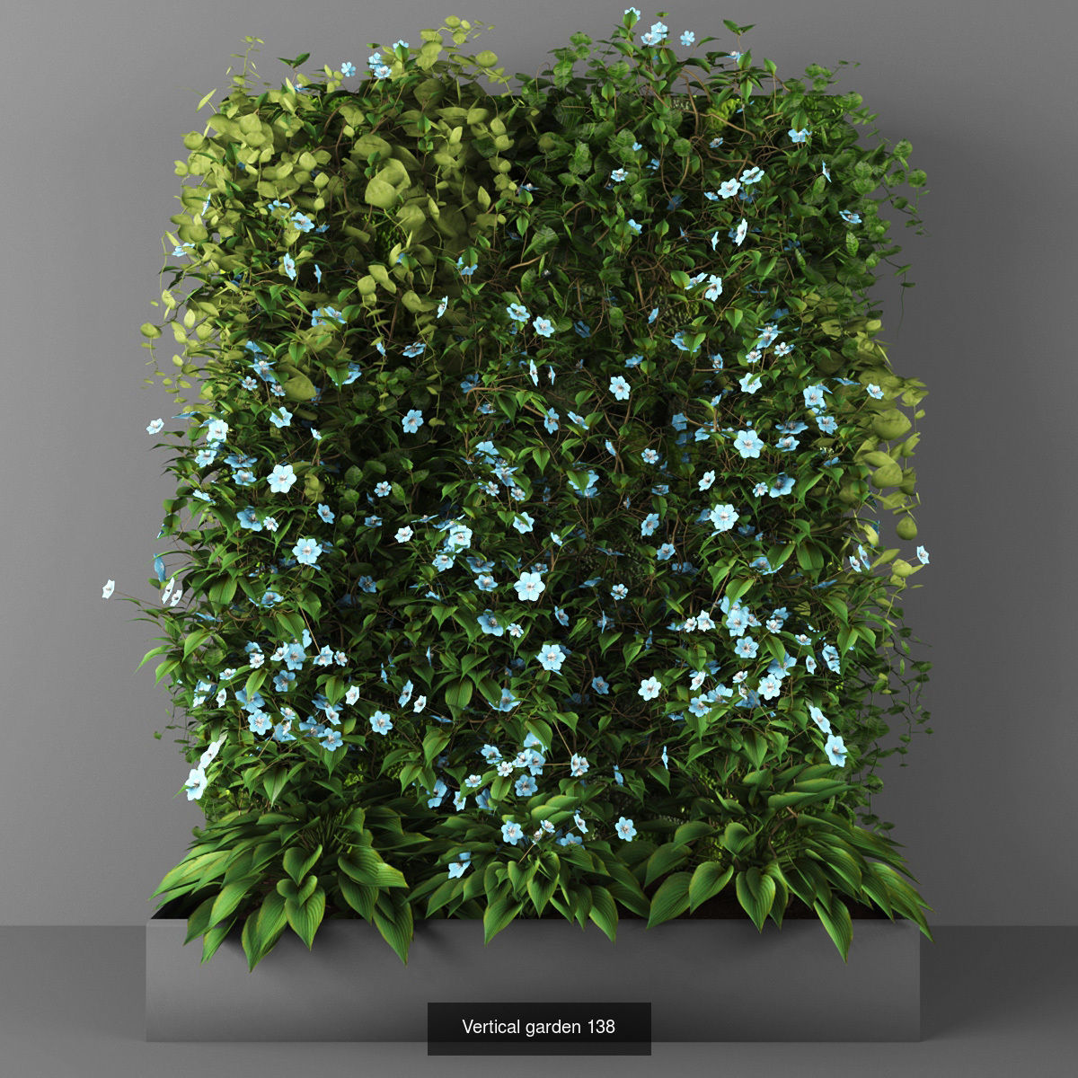 Collection of Vertical garden - 20  _24