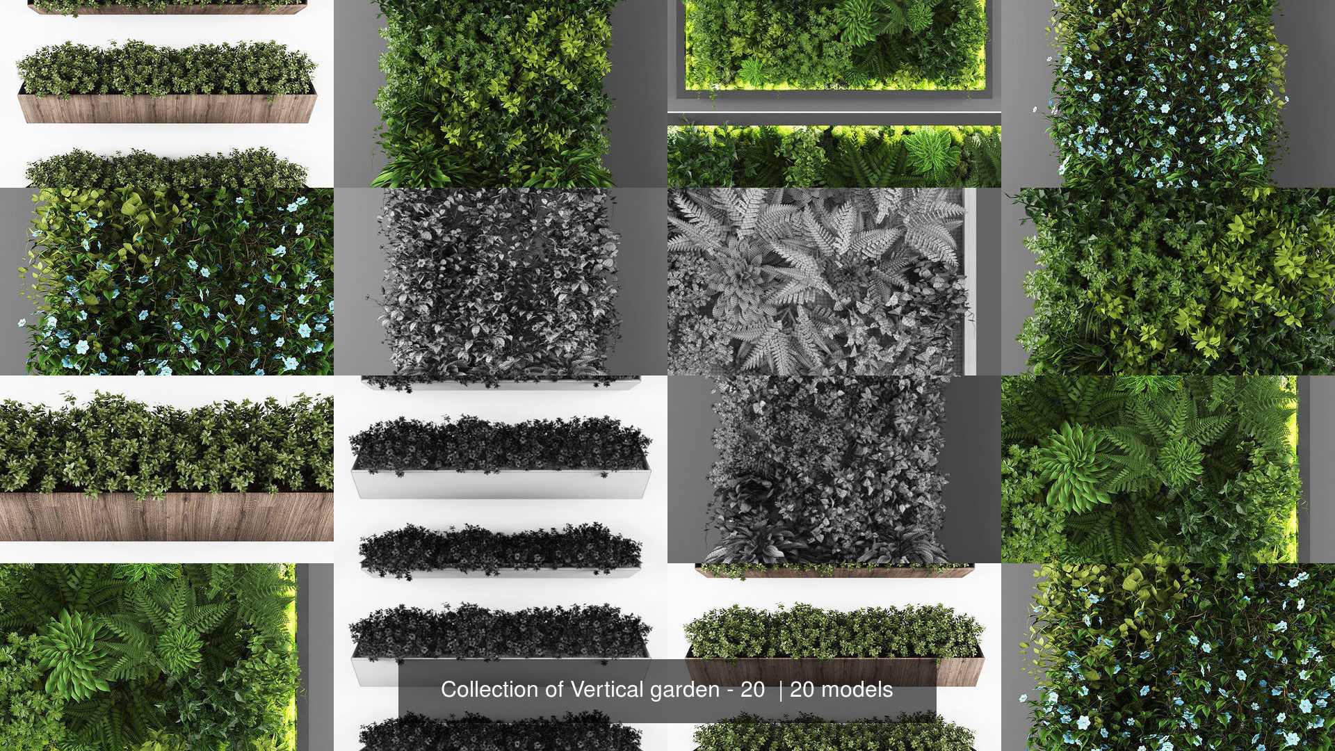 Collection of Vertical garden - 20  _4