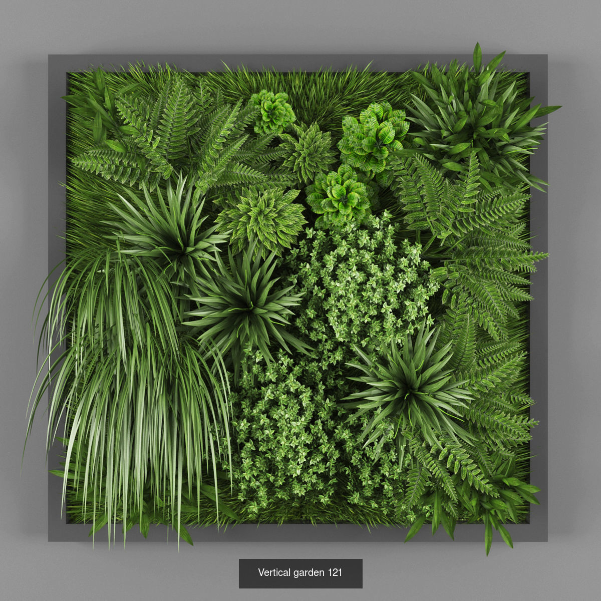 Collection of Vertical garden - 20  _7