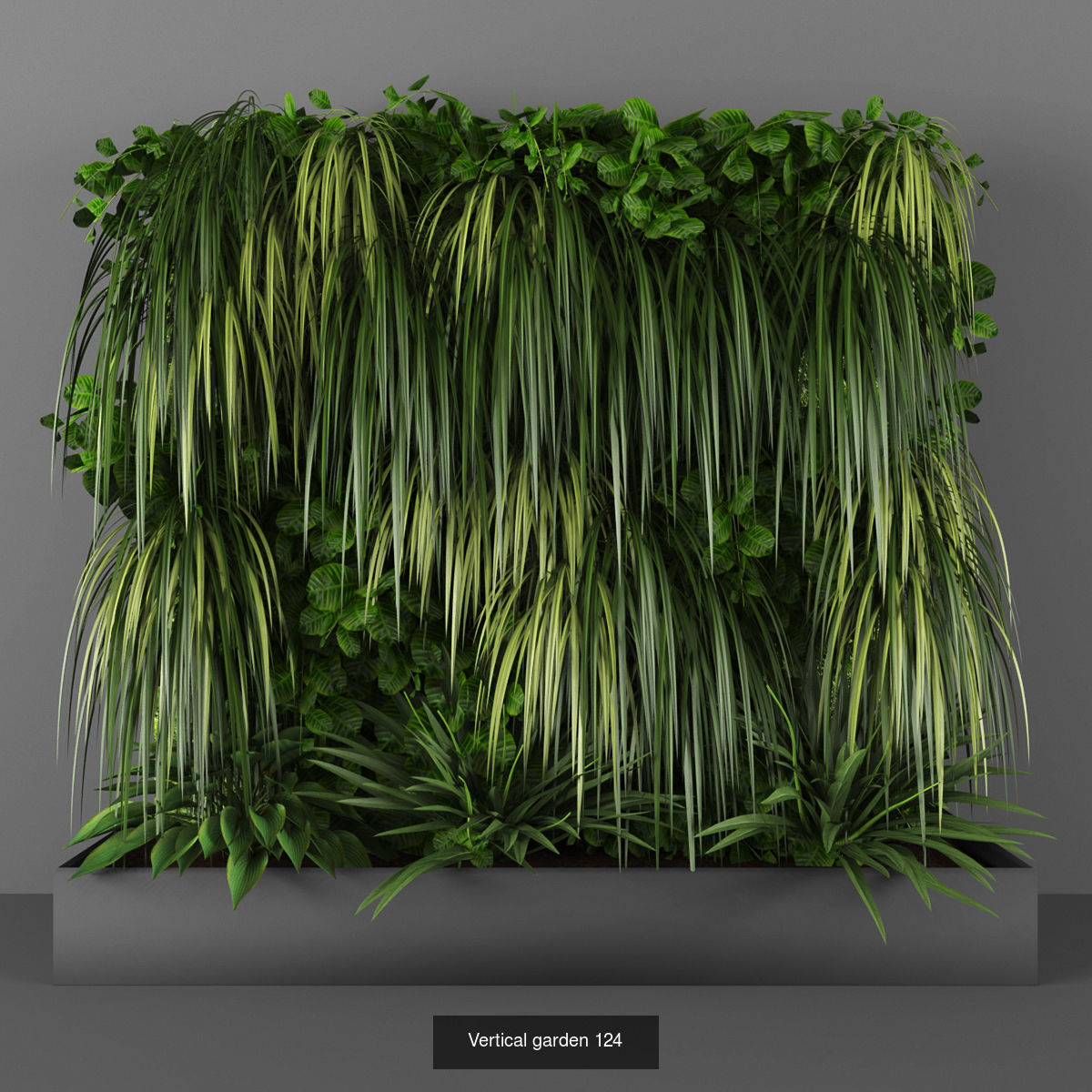 Collection of Vertical garden - 20  _10