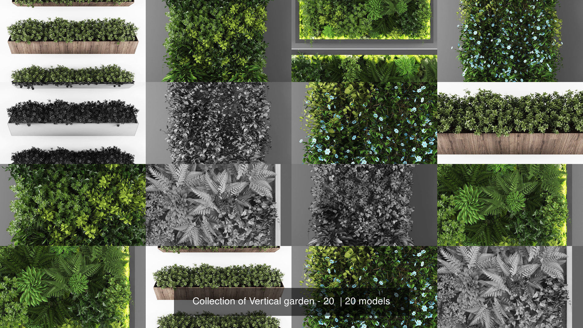 Collection of Vertical garden - 20  _2