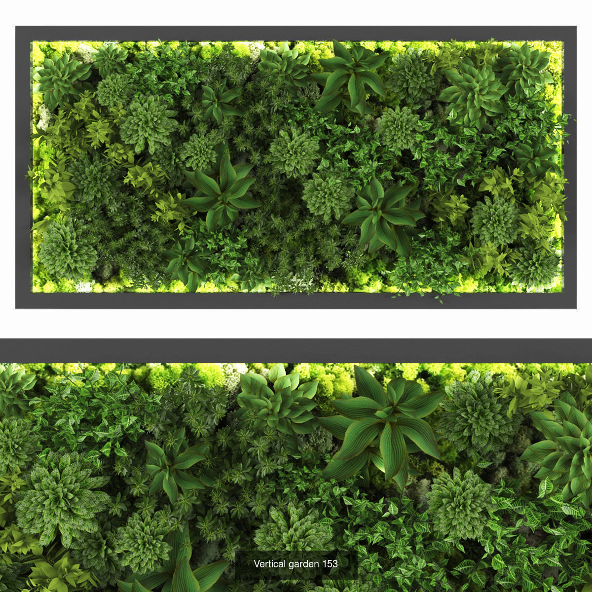 Collection of Vertical garden - 20  _17
