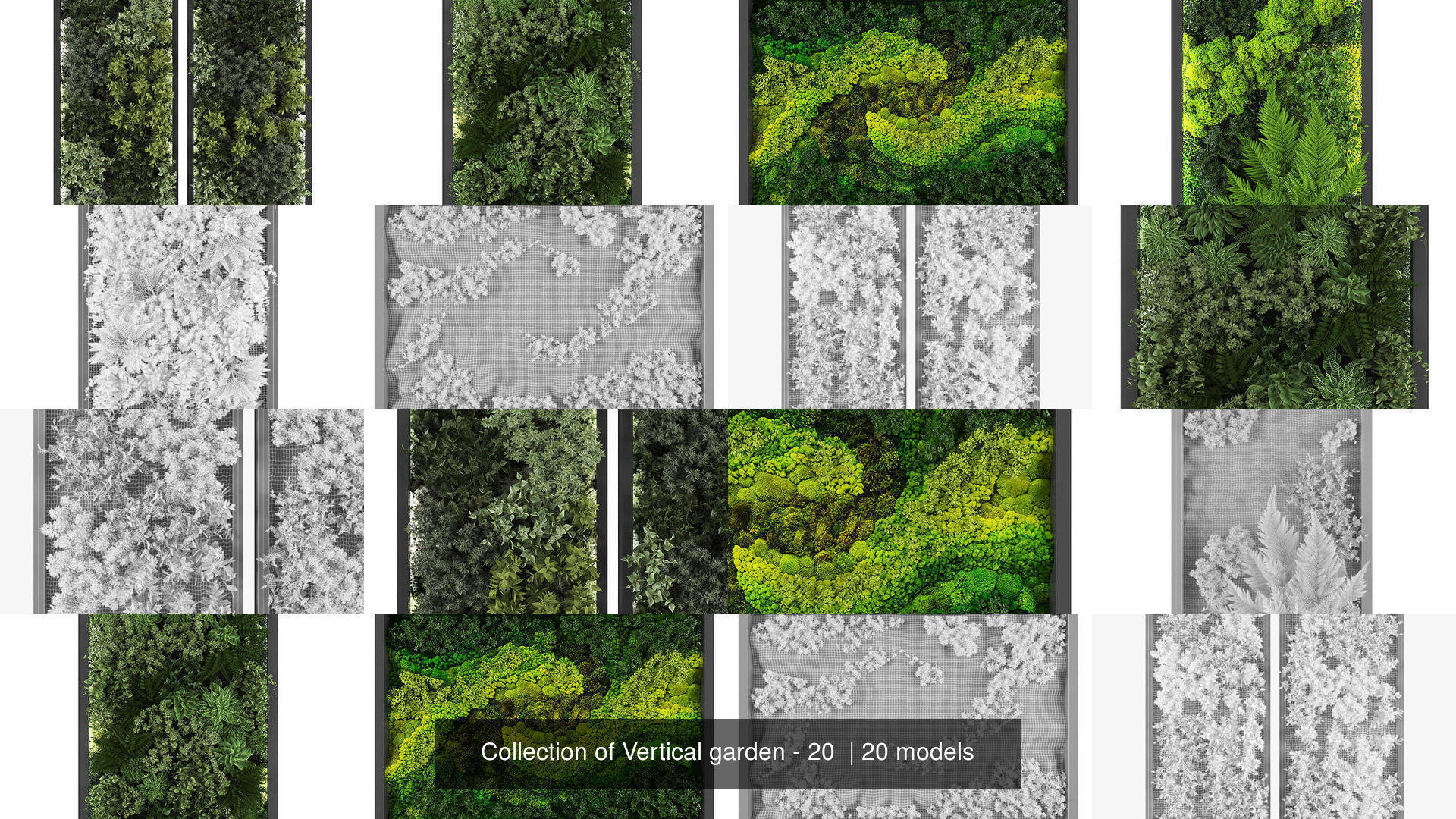 Collection of Vertical garden - 20  _2