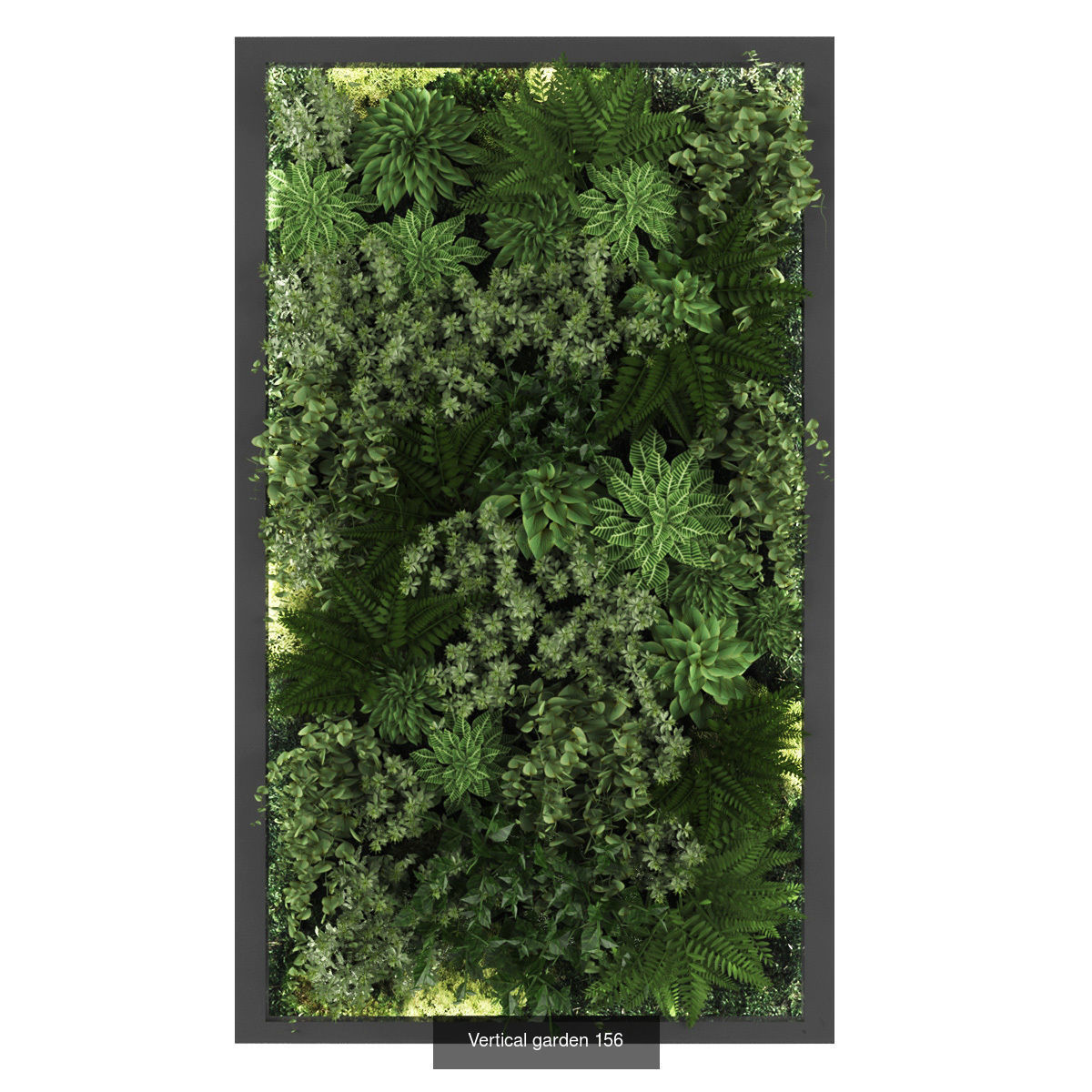 Collection of Vertical garden - 20  _20
