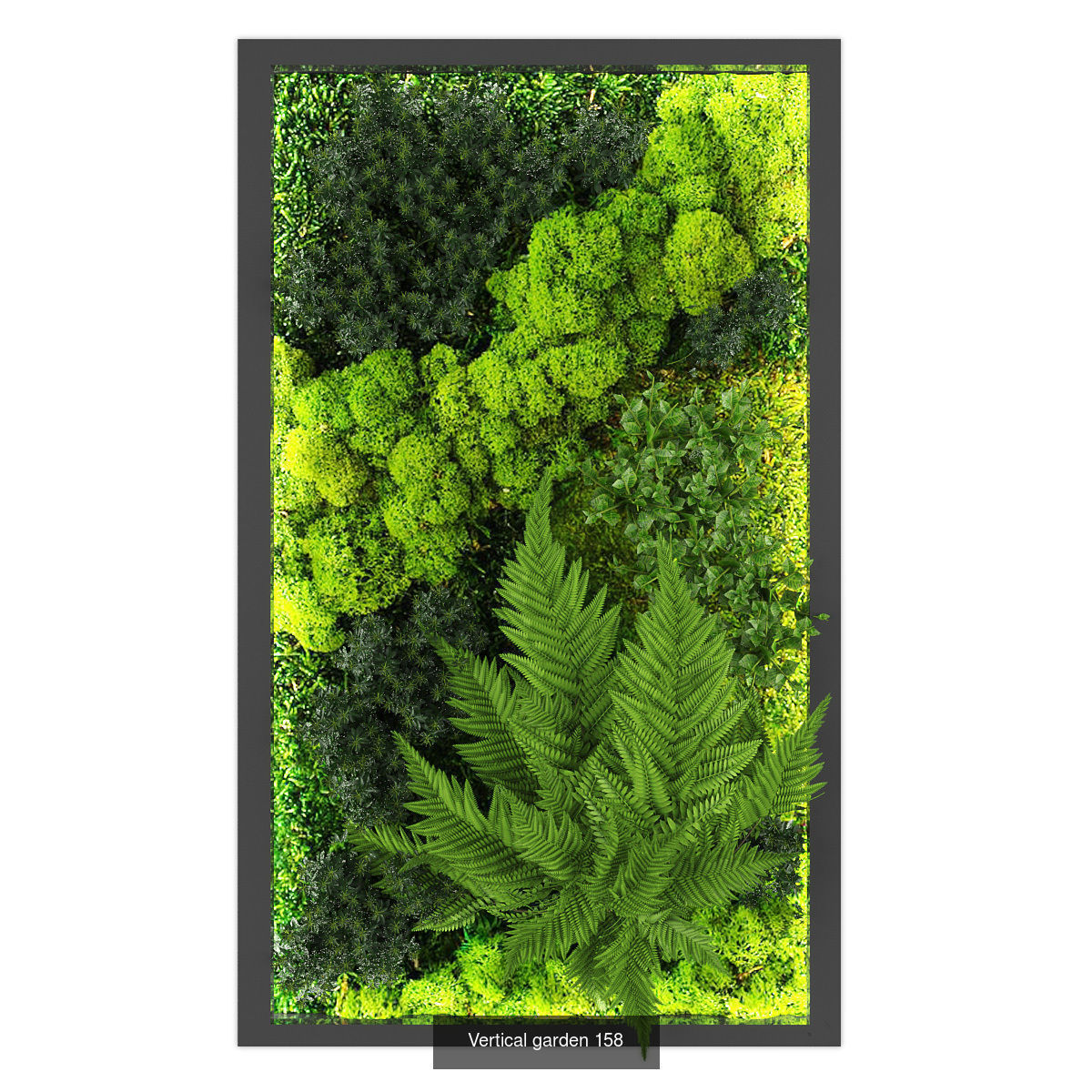 Collection of Vertical garden - 20  _22