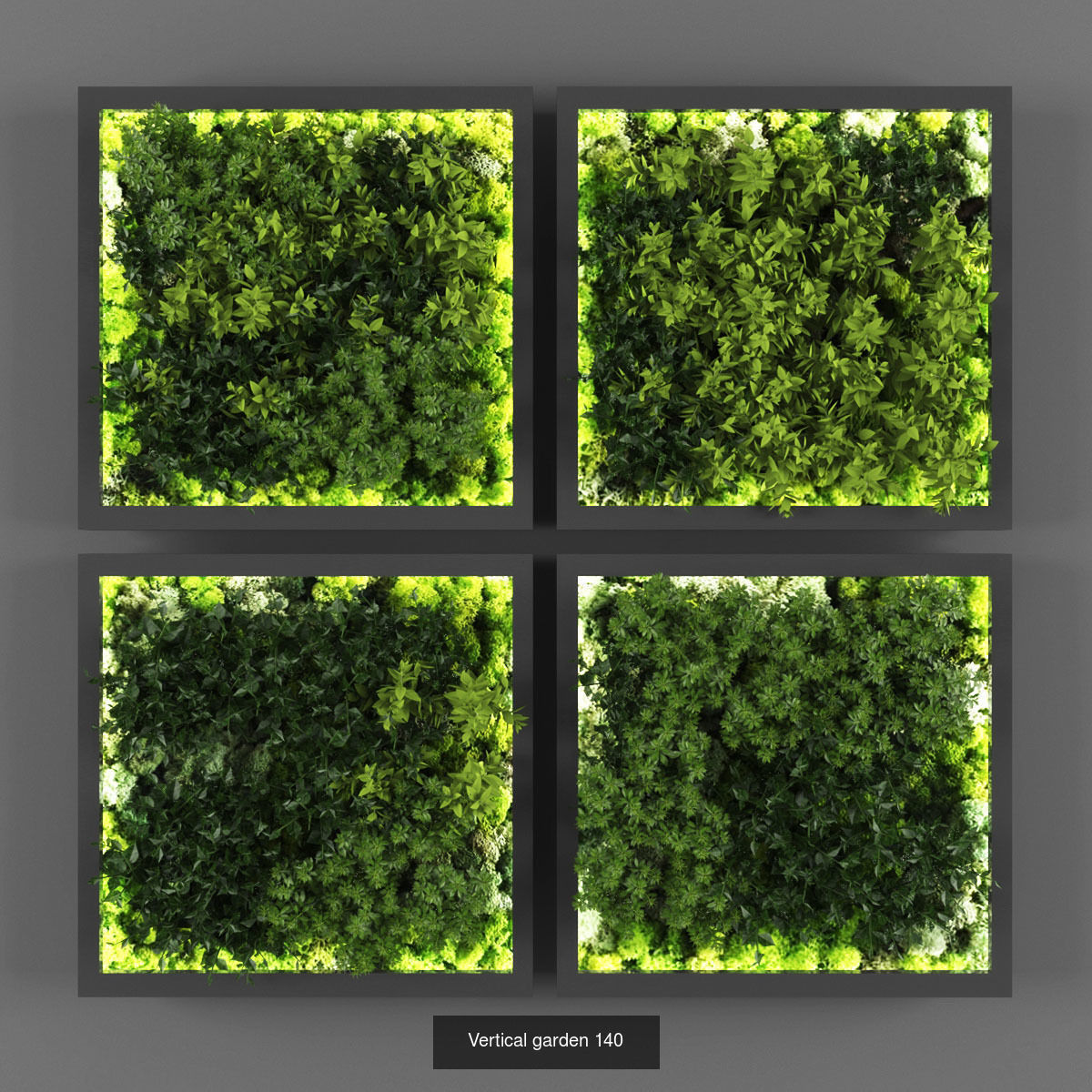 Collection of Vertical garden - 20  _4