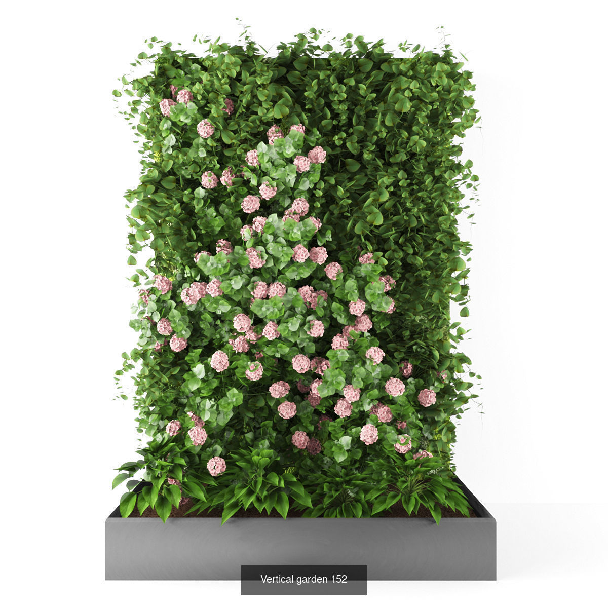 Collection of Vertical garden - 20  _16
