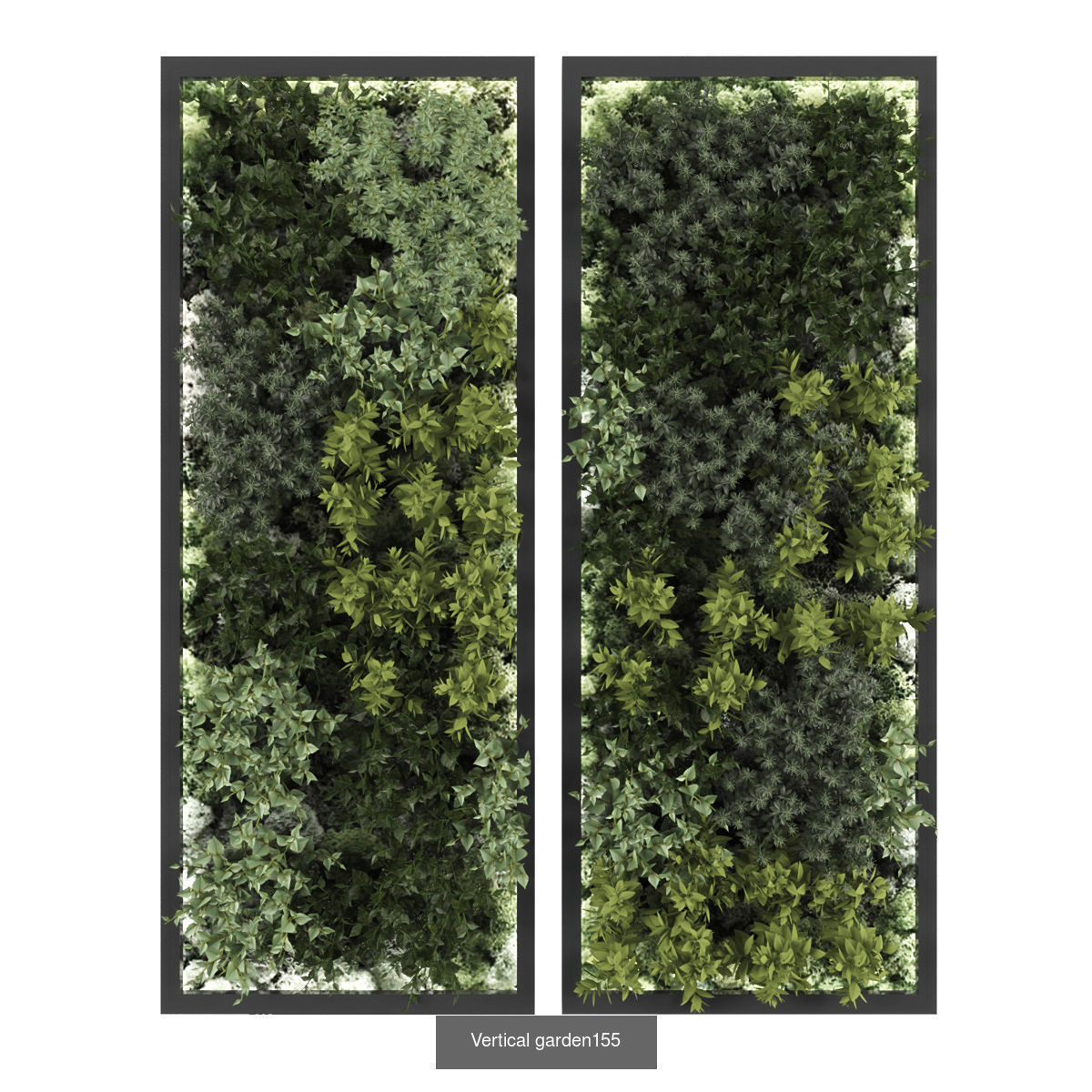 Collection of Vertical garden - 20  _19