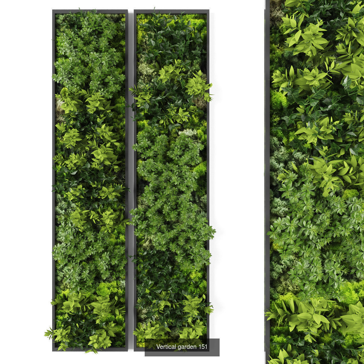 Collection of Vertical garden - 20  _15