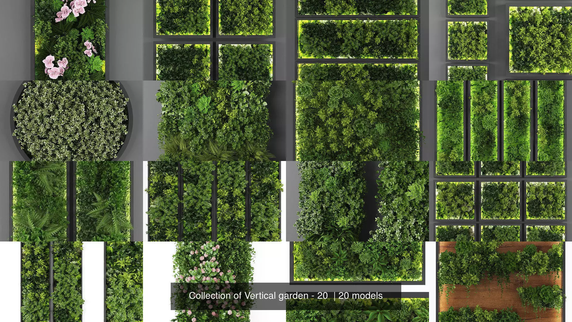 Collection of Vertical garden - 20  _0