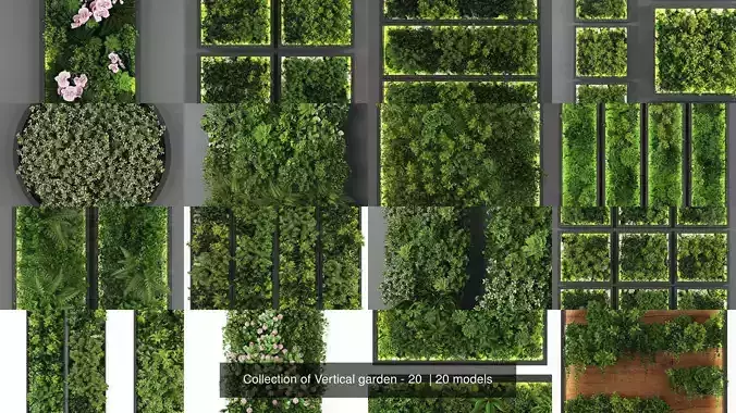 Collection of Vertical garden - 20 