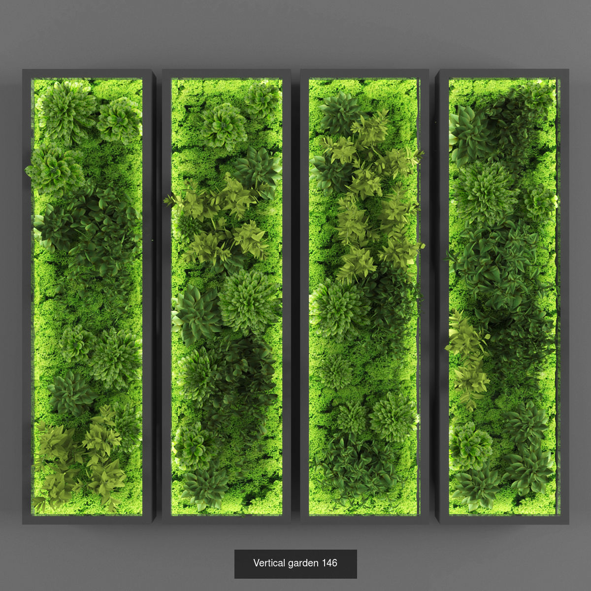 Collection of Vertical garden - 20  _10