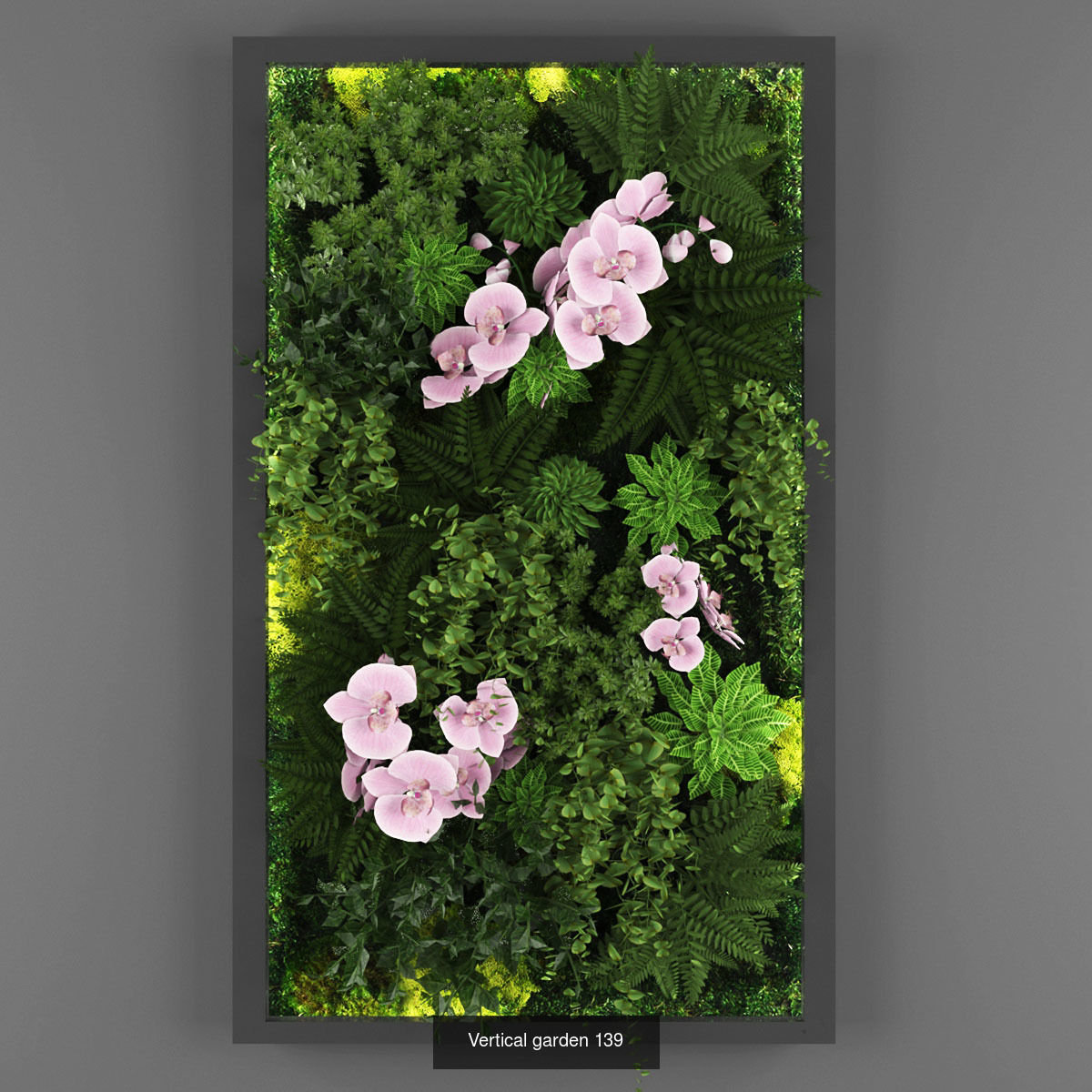 Collection of Vertical garden - 20  _3