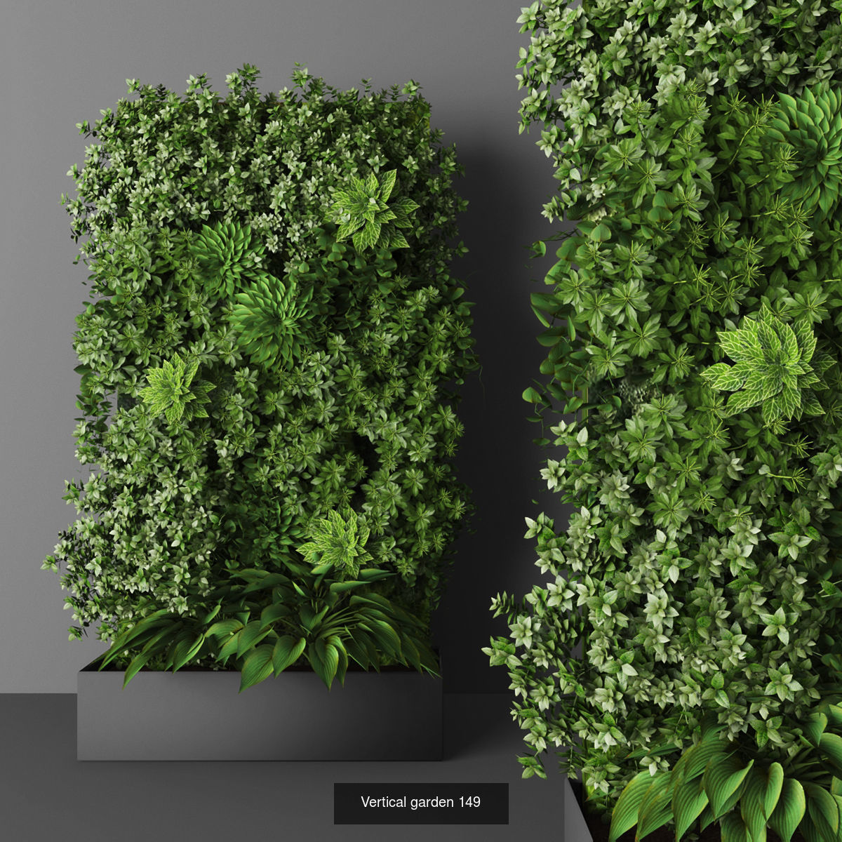 Collection of Vertical garden - 20  _13