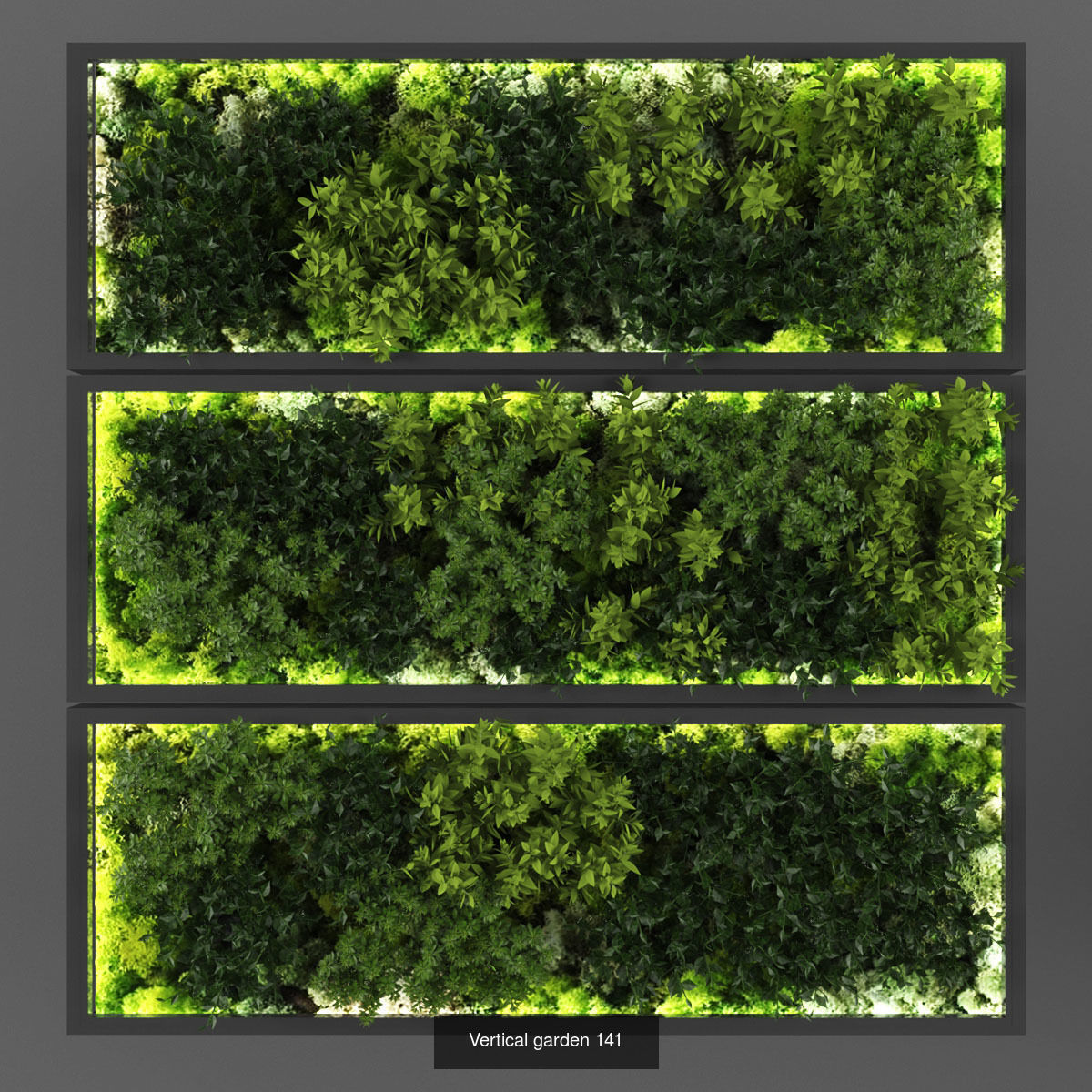 Collection of Vertical garden - 20  _5