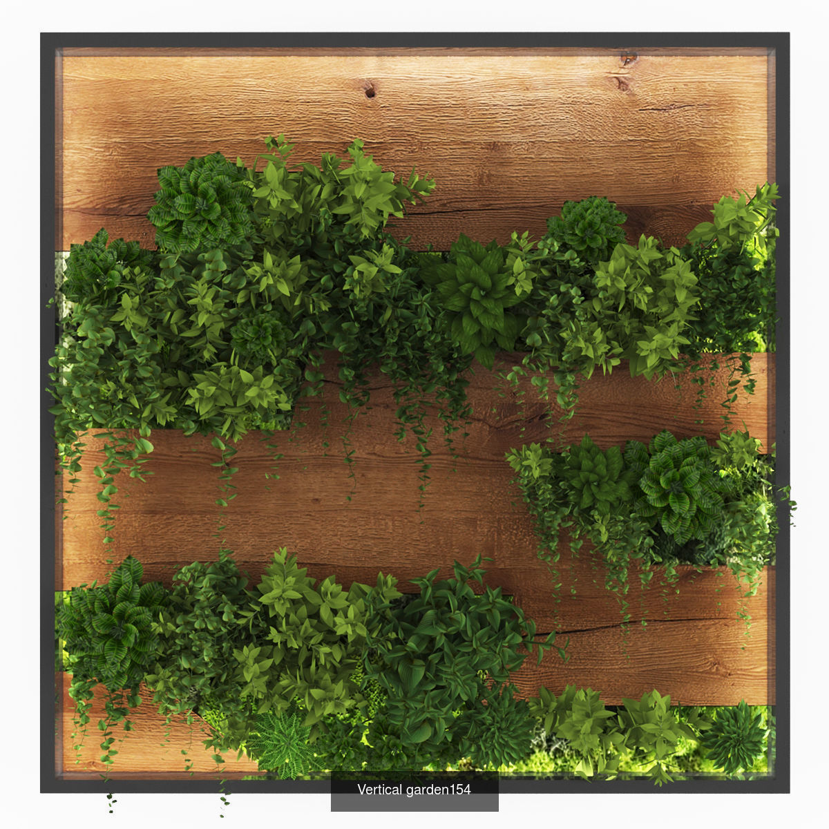 Collection of Vertical garden - 20  _18