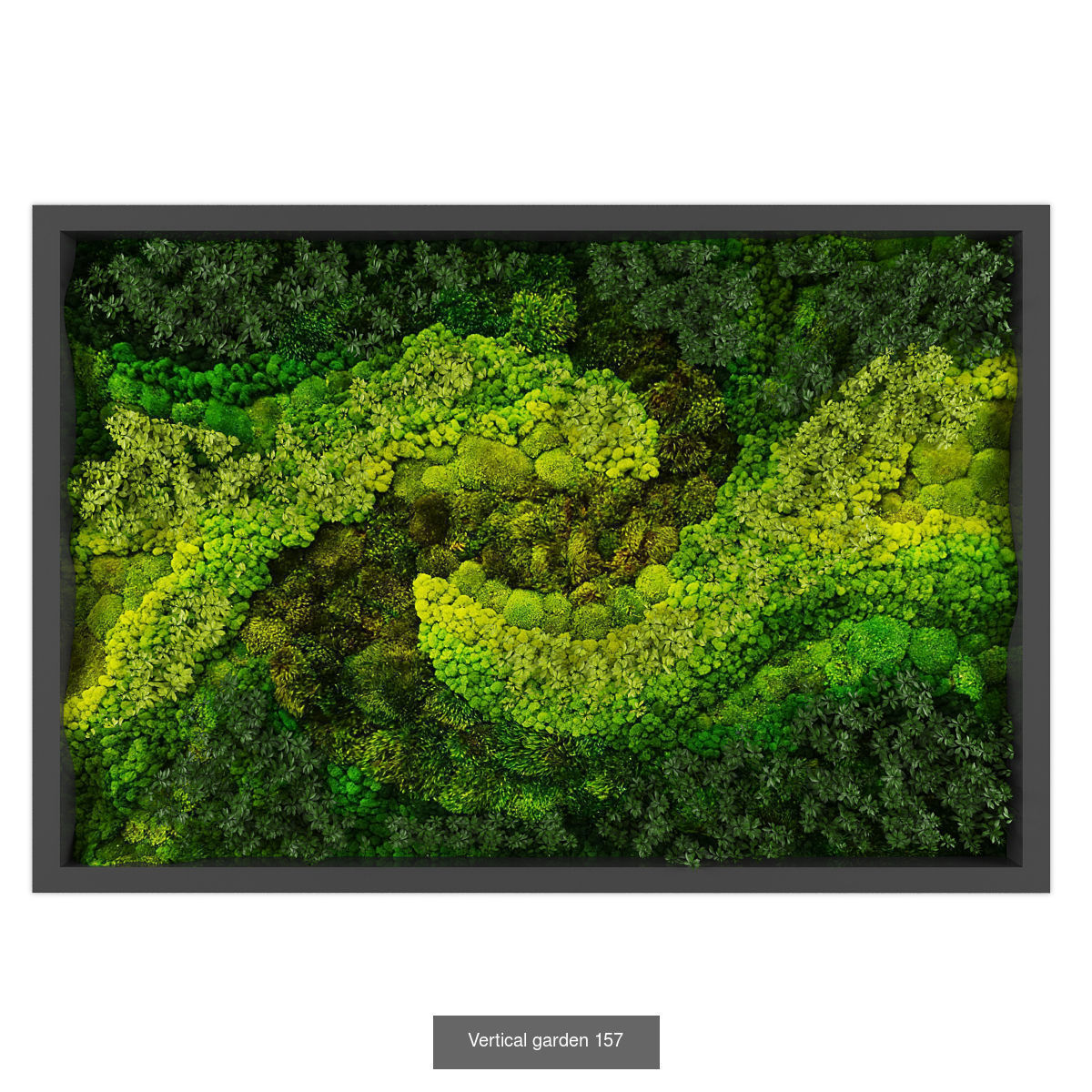 Collection of Vertical garden - 20  _21