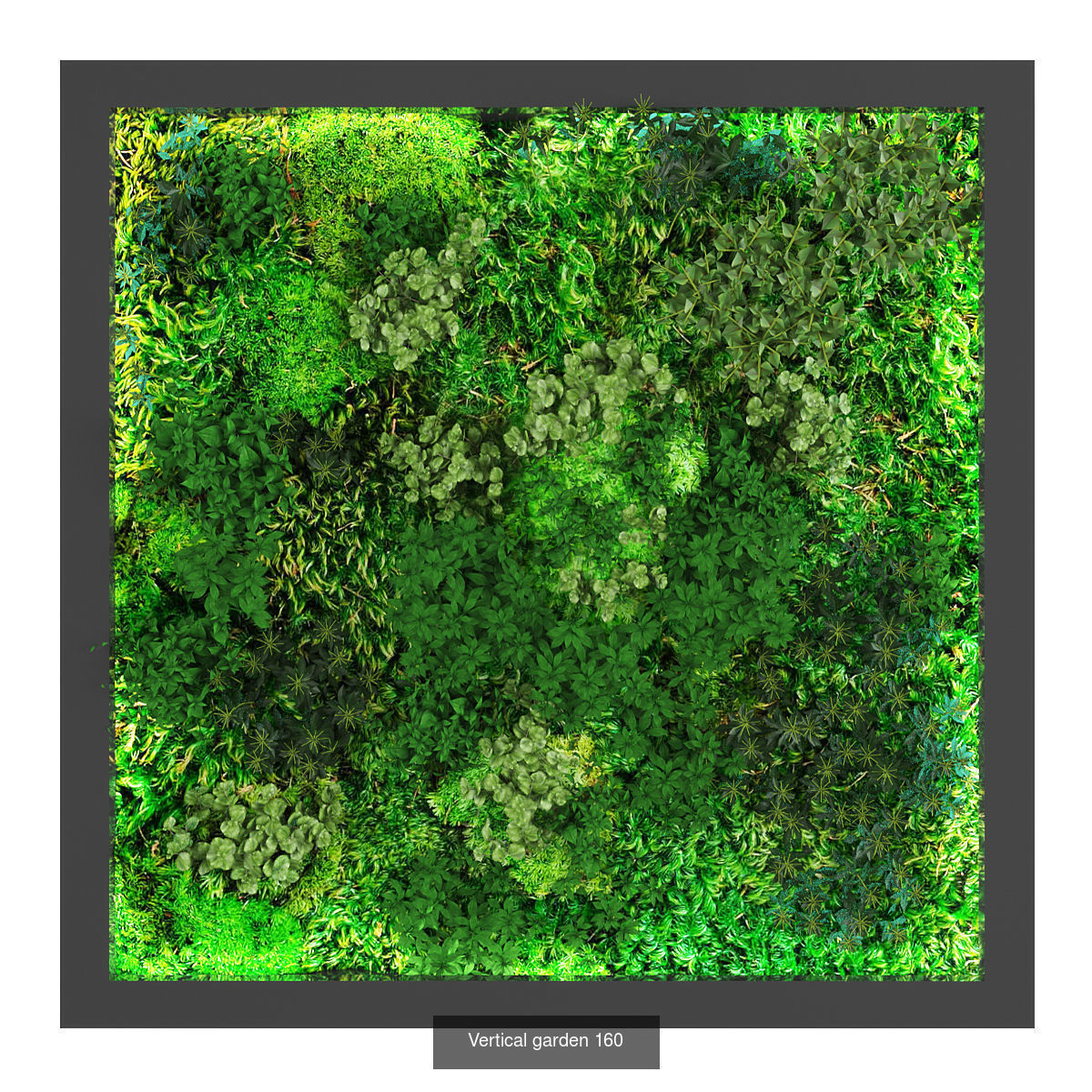 Collection of Vertical garden - 20 _11