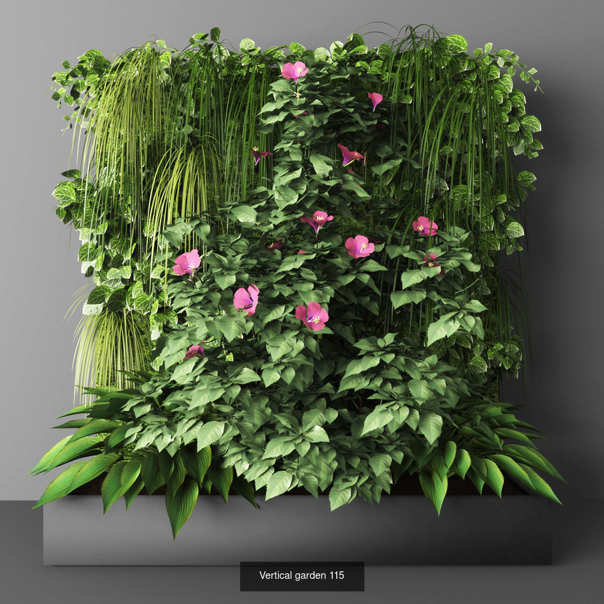 Collection of Vertical garden - 20 _7