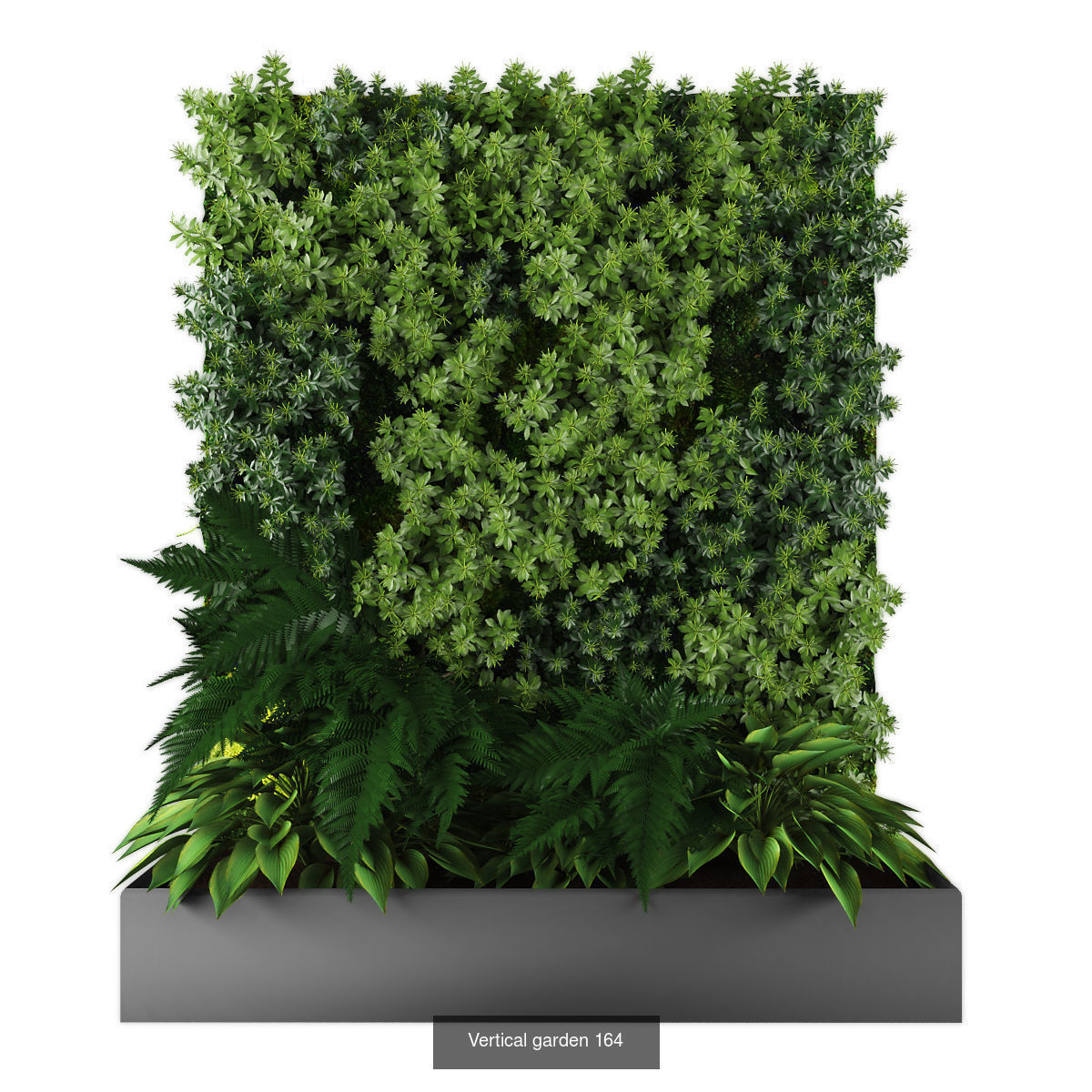 Collection of Vertical garden - 20 _15