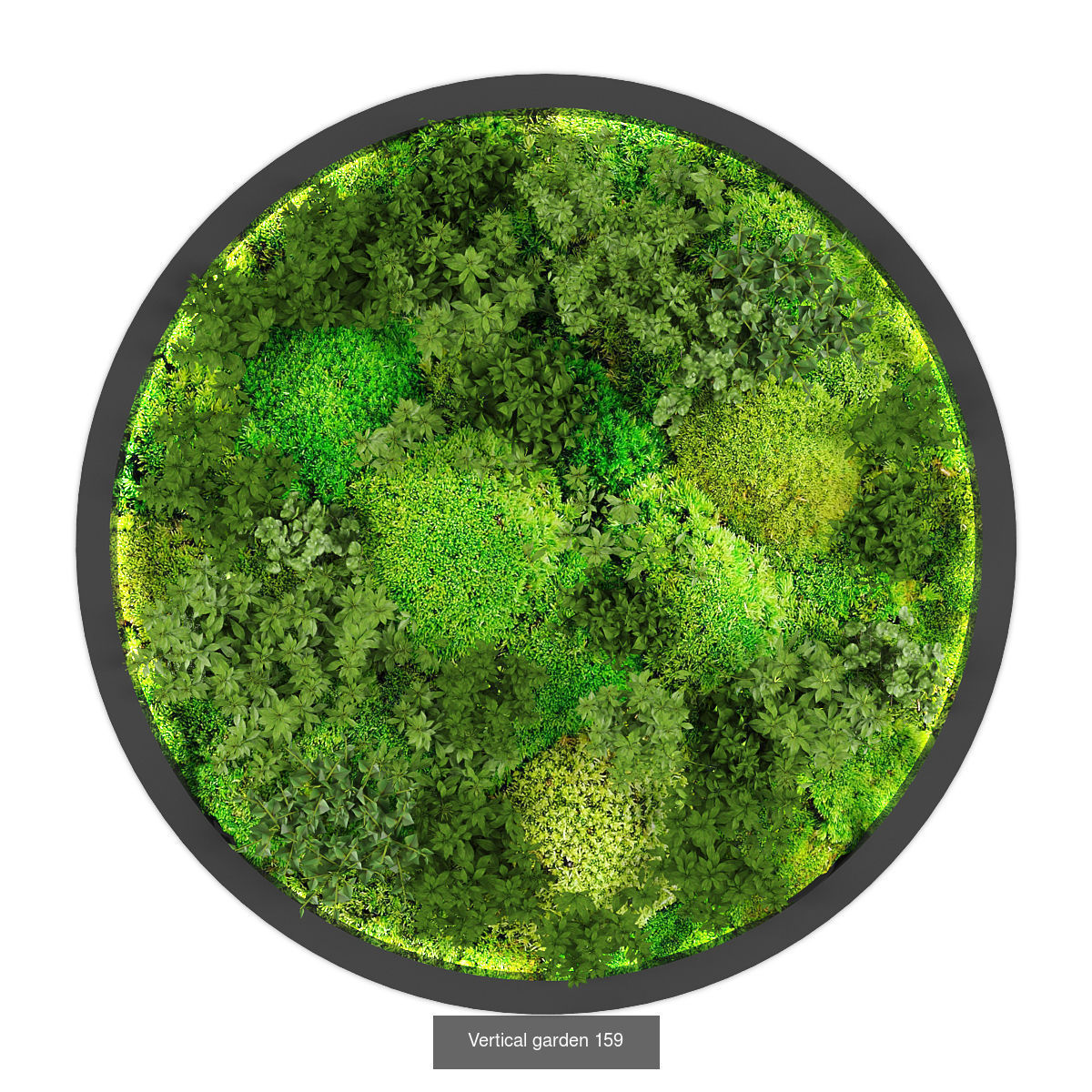 Collection of Vertical garden - 20 _10