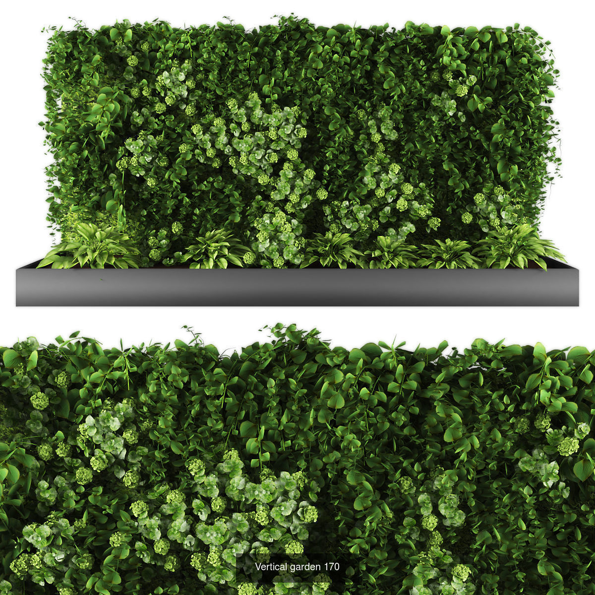 Collection of Vertical garden - 20 _21