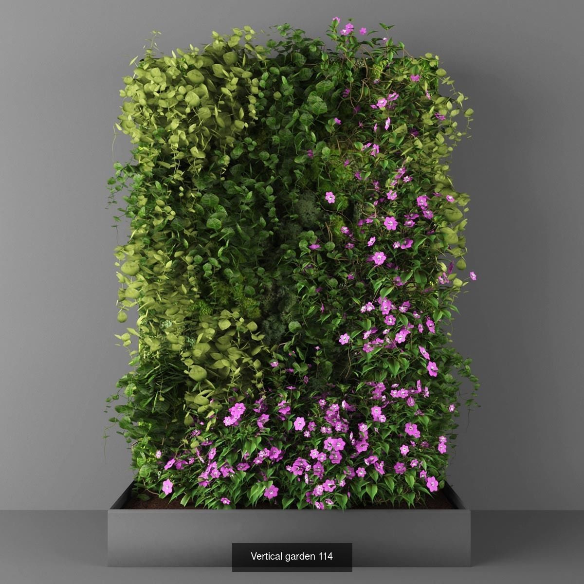 Collection of Vertical garden - 20 _6