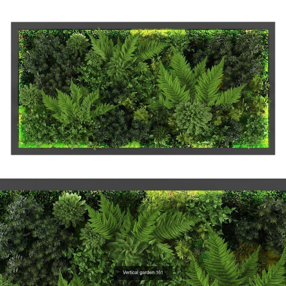 Collection of Vertical garden - 20 _12