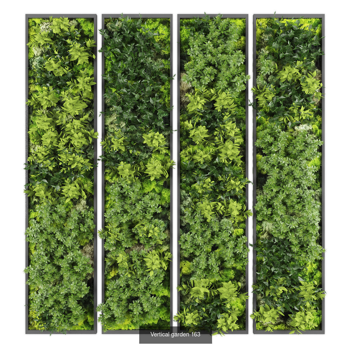 Collection of Vertical garden - 20 _14