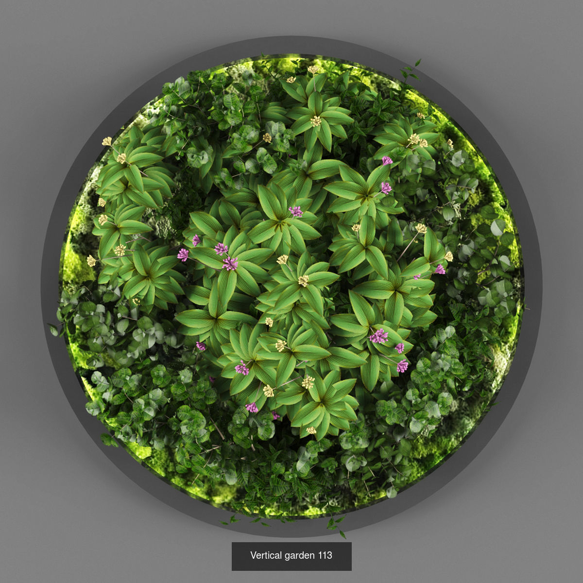 Collection of Vertical garden - 20 _5