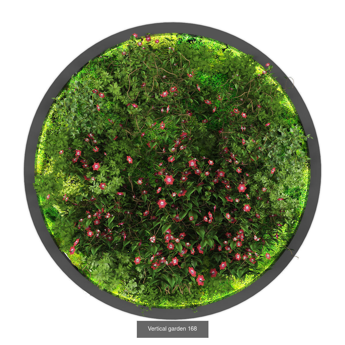 Collection of Vertical garden - 20 _19