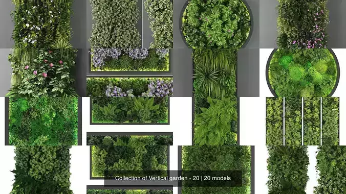Collection of Vertical garden - 20 