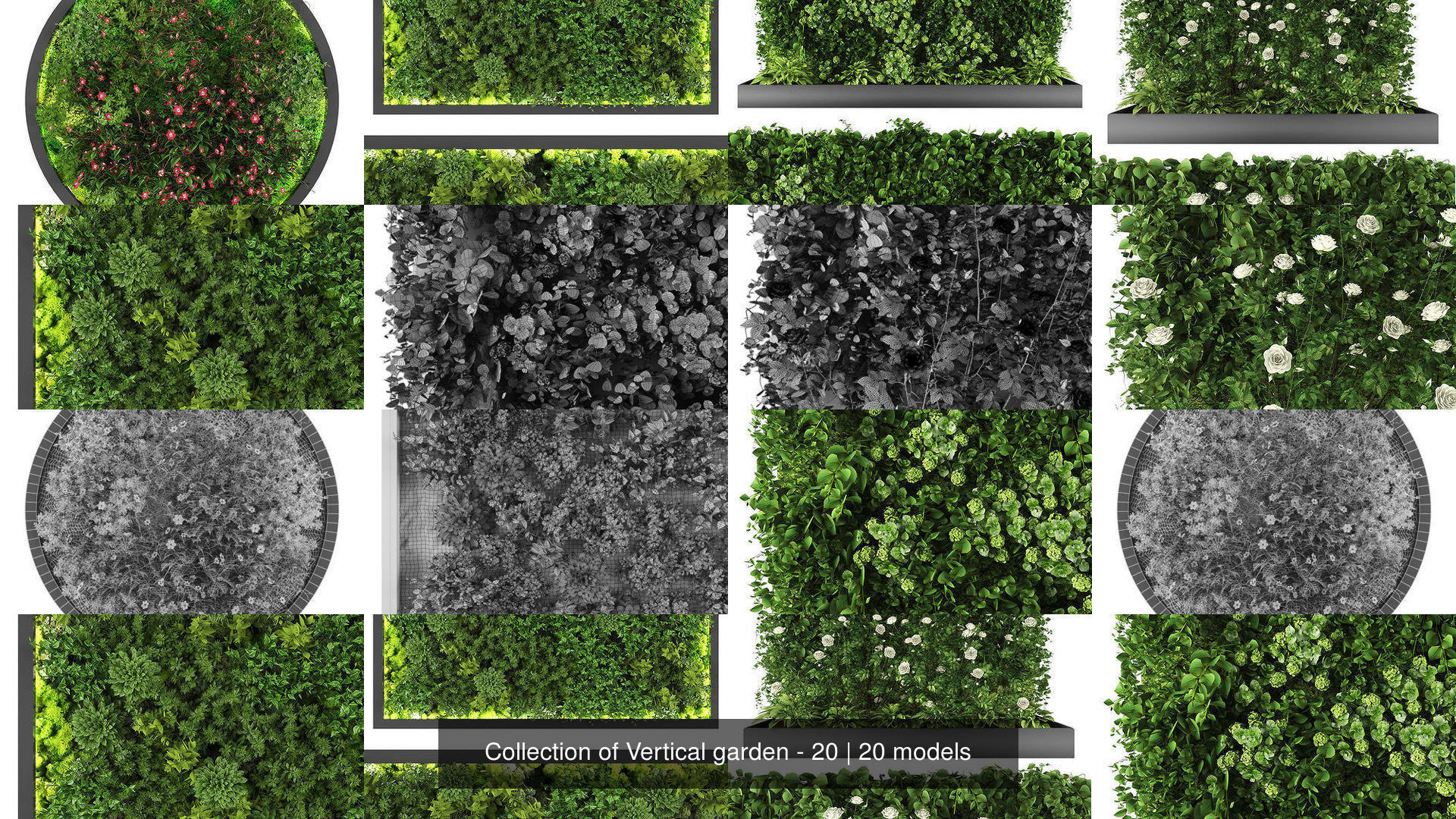 Collection of Vertical garden - 20 _2