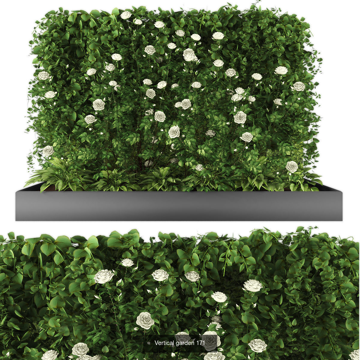 Collection of Vertical garden - 20 _22