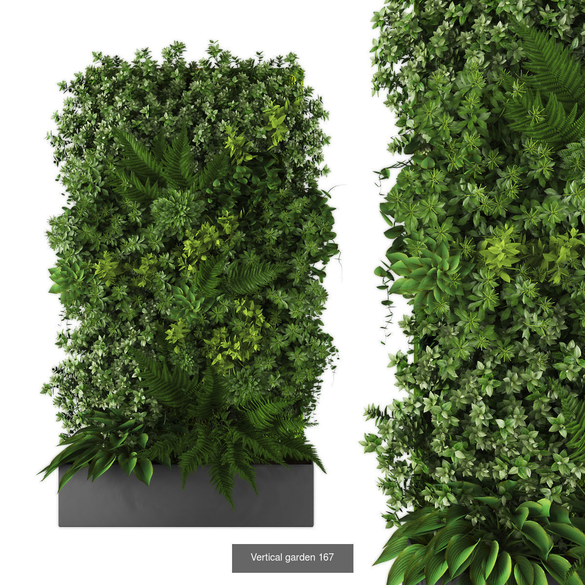 Collection of Vertical garden - 20 _18