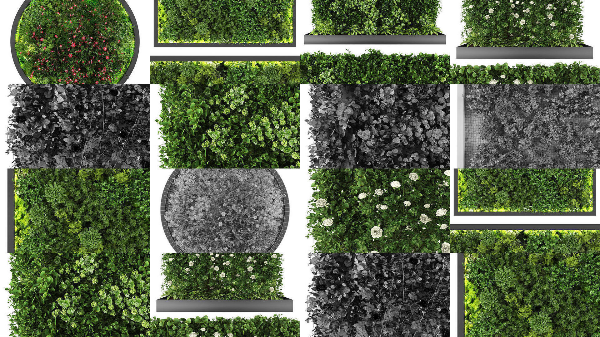 Collection of Vertical garden - 20 _1